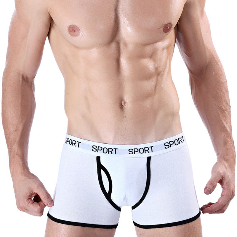 Cotton Sports Boxer Briefs Men's Cotton Sports Boxers In Your Hand Store   