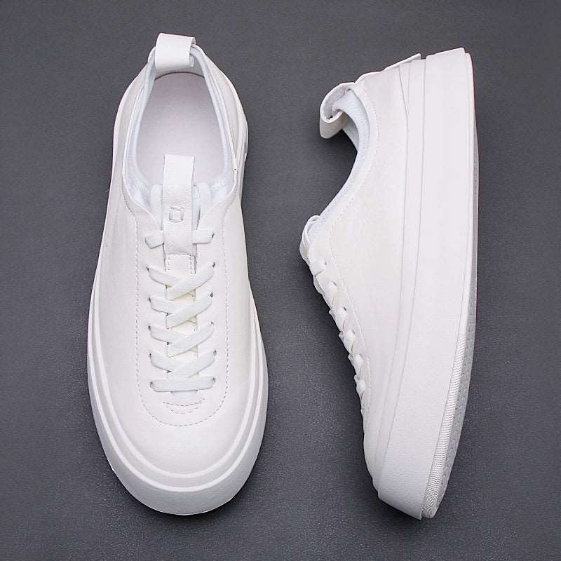 Genuine Polished Leather Sneakers Genuine Polished Leather Sneakers In Your Hand Store   