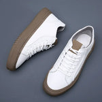 Comfortable Skatebroad Sneaker Comfortable Skatebroad Sneaker In Your Hand Store   