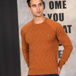 Cozy Argyle Pullover for Men Cozy Argyle Pullover for Men Inyourhand   